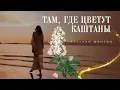 Download Lagu Там, где цветут каштаны | Русский шансон 2025 | Where Chestnuts Bloom | New Russian Chanson Song