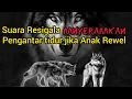 Lagu Suara Serigala Menyeramkan