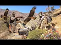 Download Lagu Nomadic Life: A documentary about the life of Iran nomads in the mountains with a nomadic man