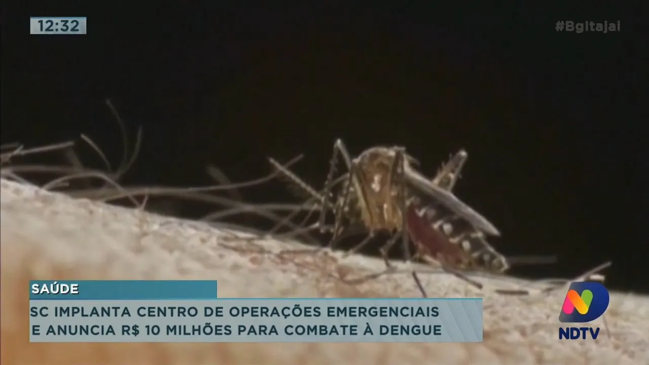 Itajaí está com alto risco de transmissão de dengue, SC implanta centro de operações de emergência