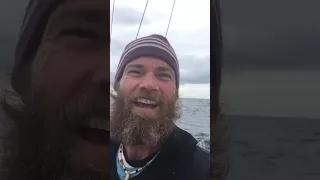 The Relief of Rounding Cape Horn