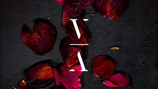Lane 8 - Fingerprint (OCULA Remix)