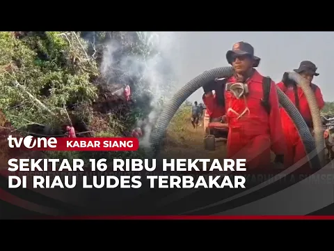Hutan Konservasi Terbakar, Petugas Kesulitan Mencari Air