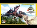 PTERANODON - Apprivoisement Utilite ARK ALL TAMING