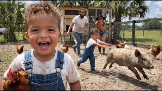 Muito Trabalho na fazenda ( Animais Fugiram )