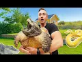 Download Lagu FULL Animal Tour! (My Private Rescue)