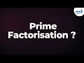 What is Prime Factorisation Don t Memorise