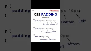 Css padding