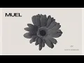 Download Lagu MUEL #19: Open Heart Mix | Gentle Electronica for Mindful Moments