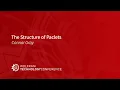 The Structure of Paclets