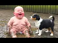 Lagu Cutest Baby \u0026 Pet Duo! 😍😂 Try Not To Laugh at Their Friendship | Baby Vibes