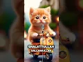 Download Lagu Kucing Sholawatan Sholatullah salamullah, Sholawat Badar #kucingsholawatan #kucinglucu