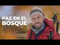 Download Lagu ¿La Fotografía es la Clave para Encontrar la Calma Interior?