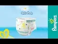 Download Lagu Pampers® Splashers™ passen als een zwembroekje en beschermen als een Pampers® luier