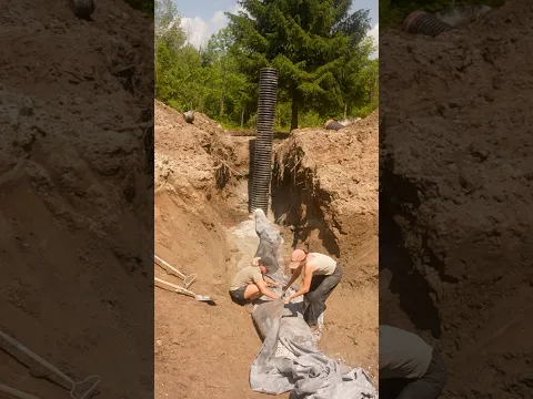 saving our swim pond from failing