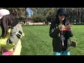 FLEX CHALLENGE