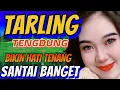 Download Lagu TARLING CIREBONAN POKOKNYA PALING ENAK BASS NYA ADEM _ TARLING TENGDUNG __ MUSIC BUAT SANTAI