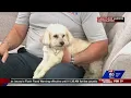 Indy Vet Has 3 Tips To Give Your Pet A Better Boarding Experience