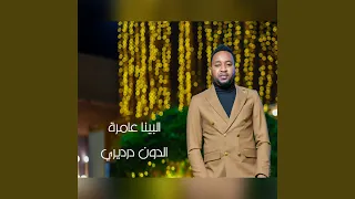 البينا عامرة 