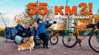 ВелоМаршрут под Москвой 55 км: едем всей семьёй, с ребёнком и собаками