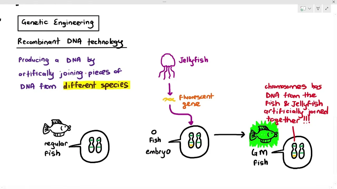 19-2 Recombinant DNA Technology - An Introduction (Cambridge AS A Level Biology, 9700)