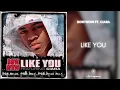 Bow Wow ft. Ciara - Like You (432Hz)