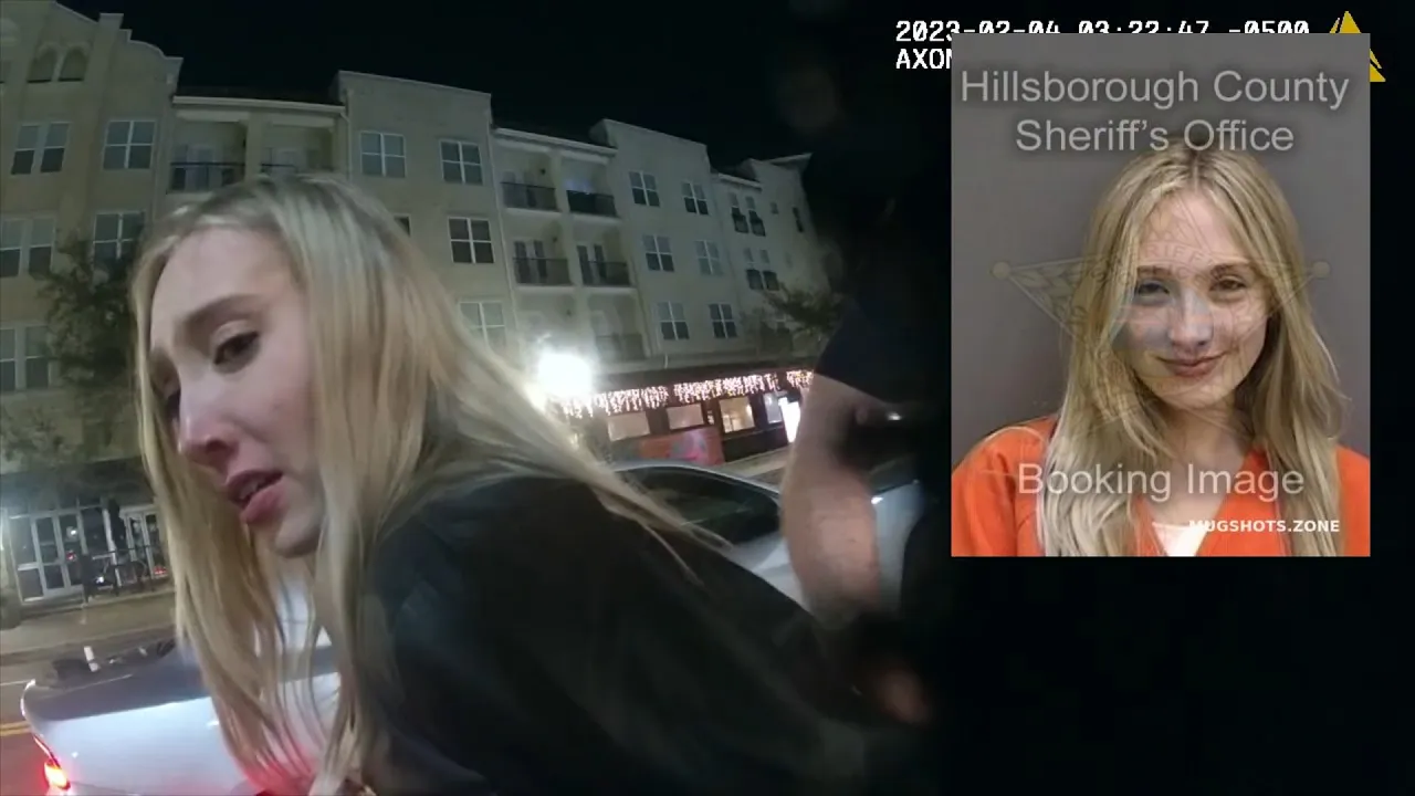 The most depressing DUI arrest ever... "just arrest me. OK!"