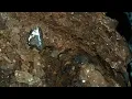 Missouri Diamond In Kimberlite Matrix