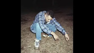      احذر كل ما اقترب الارض دندنها