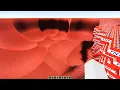 20 experiments in one