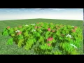 Basic Shadow Mapping