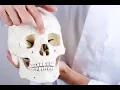 Closed treatment of Nasal bone fracture CPT code - simplify medical coding