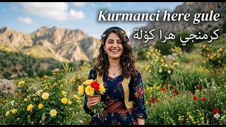                                   كردي دندنها