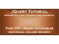 jQuery datatables individual column search