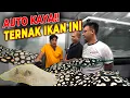 Download Lagu GIL4KKKK...!!! HARGA IKAN PARI SAMPE RATUSAN JUTA....!!!!!!!!