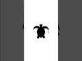 Geometry Turtle by turtle using python Drawing Turtle by
