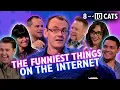 Lagu The Wildest and Funniest Things on the Internet | 8 Out of 10 Cats