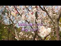 Lagu 長崎の 蝶々さん ; 美空 ひばり- Nagasakino Chouchousan ; Misora Hibari - 나가사키의 나비부인