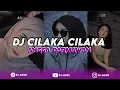 Lagu DJ CILAKA CILAKA ANGGA DARMAWAN x DJ ARISE VIRAL TIKTOK 2024