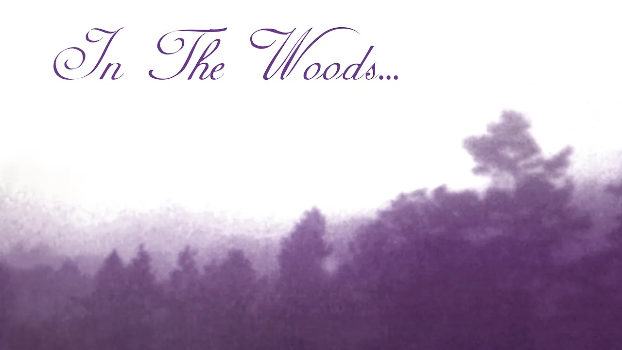 In the Woods... - HEart of the Ages (Full Album)