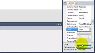 Databases in Visual Basic 2010
