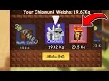 Download Lagu Grow a Garden Made a BIG MISTAKE.. in the CHIPMUNK UPDATE!