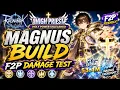 My High Priest Magnus Build F2P Damage Test Best Build for PVE Farming