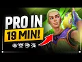 The ONLY Gekko Guide You ll EVER Need