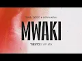 Zerb, Soiya Nazu - Mwaki (Tiësto's VIP Mix)