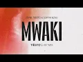 Download Lagu Zerb, Soiya Nazu - Mwaki (Tiësto's VIP Mix)