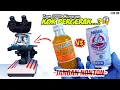 Download Lagu YOU C-1000 vs SUSU BERUANG | Bear Brand Milk vs Vitamin C in Microscope Zoom 1000X