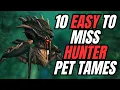 10 EASY To Miss Hunter Pet Tames 11 0 7 World of Warcraft The War Within