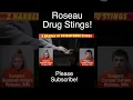 Two Nabbed In Roseau County MN Drug Sting Operations