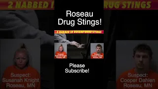 Two Nabbed In Roseau County MN Drug Sting Operations